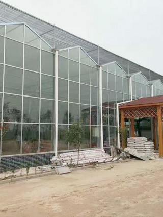 江西省贛州贛縣江口鎮(zhèn)，全玻璃溫室